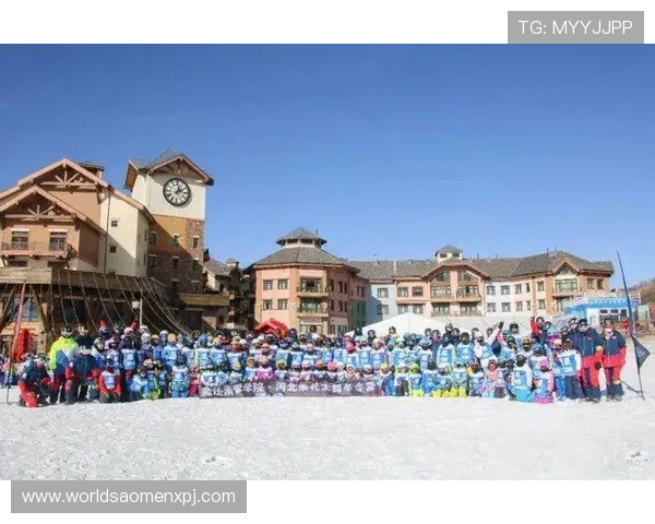 新葡的京集靠谱吗：用户真实体验与评价汇总