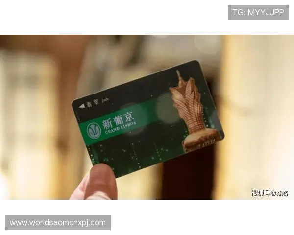 澳门新葡京在线支付方式详解多渠道安全便捷充值体验升级