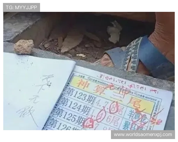 六合彩中文站最新开奖信息全面解析帮助玩家掌握第一手中奖数据